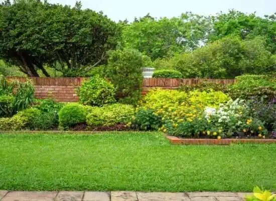 landscaping services Hayti Heights